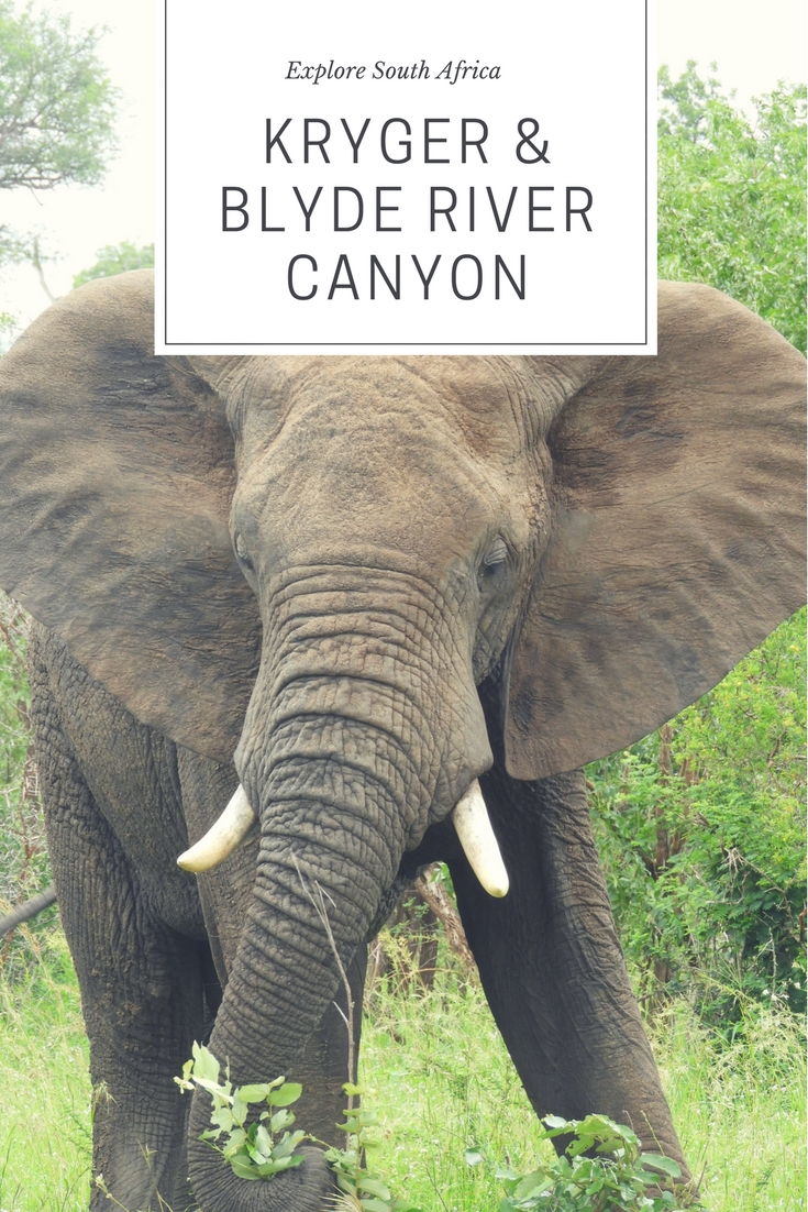 pinterest_Kruger_Blyde_intro