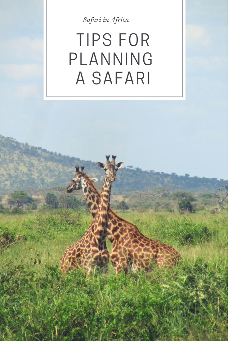 Pinterest_safari_planning