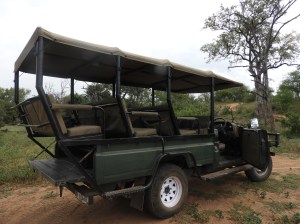 safari jeep