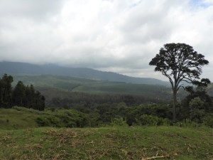 Hiking at Mount Meru