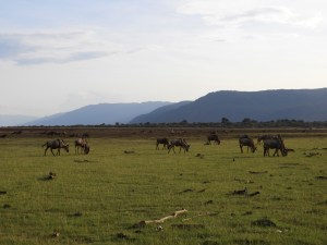 Lake Manyara national park