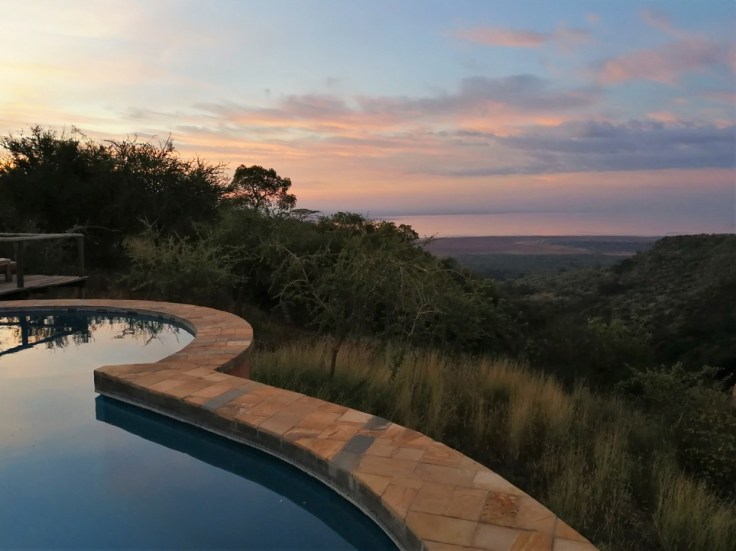The pool at Escarpment Luxury Lodge