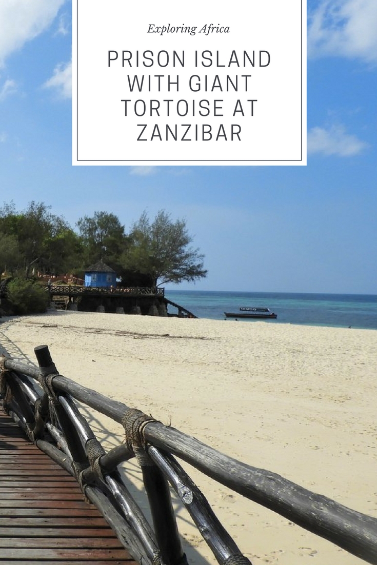 Prison Island and Giant Tortoise at Zanzibar