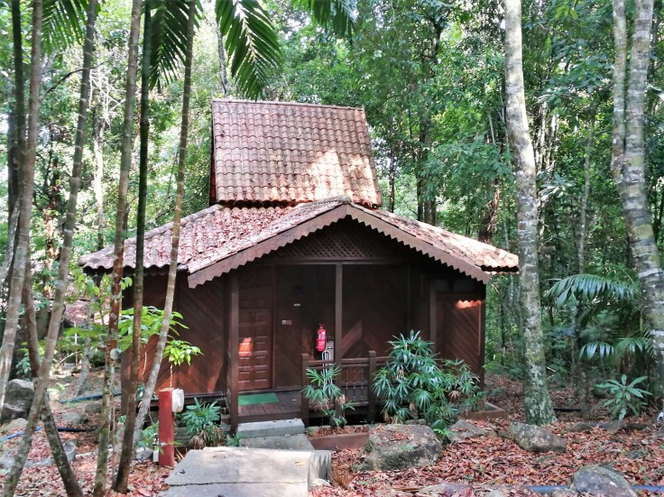 Berjaya Langkawi resort - rainforest chalet