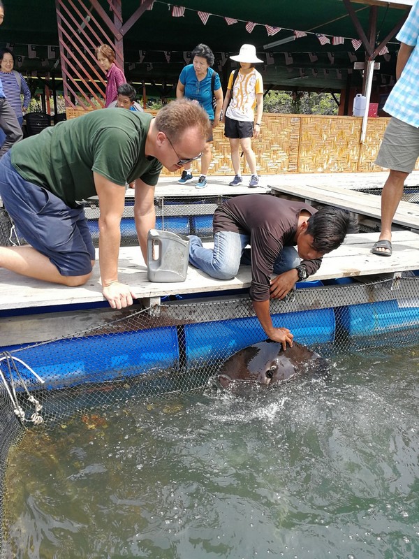 Kilim Geoforest park - Langkawi