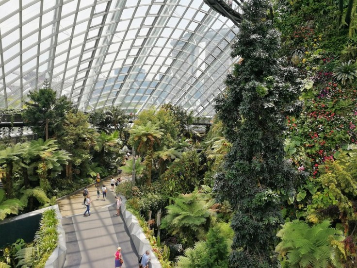 Cloud Forest at Garden By The Bay, Singapore