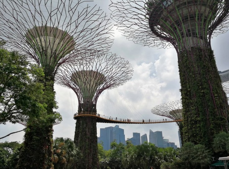 Supertrees and OCBC Skyway at Garden By The Bay, Singapore